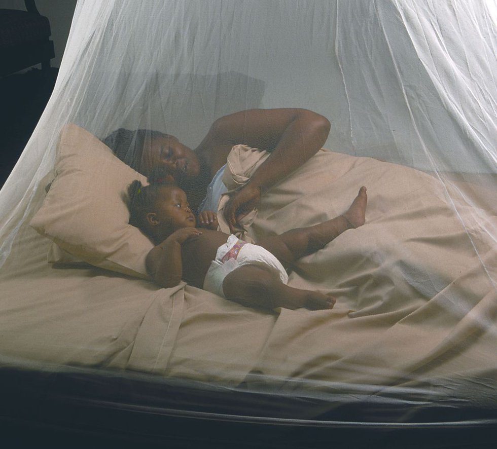 Treated mosquito nets like this can reduce malaria outbreaks
