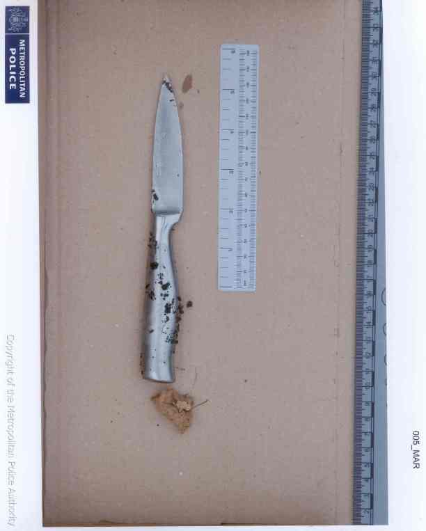 A knive found at the murder scene